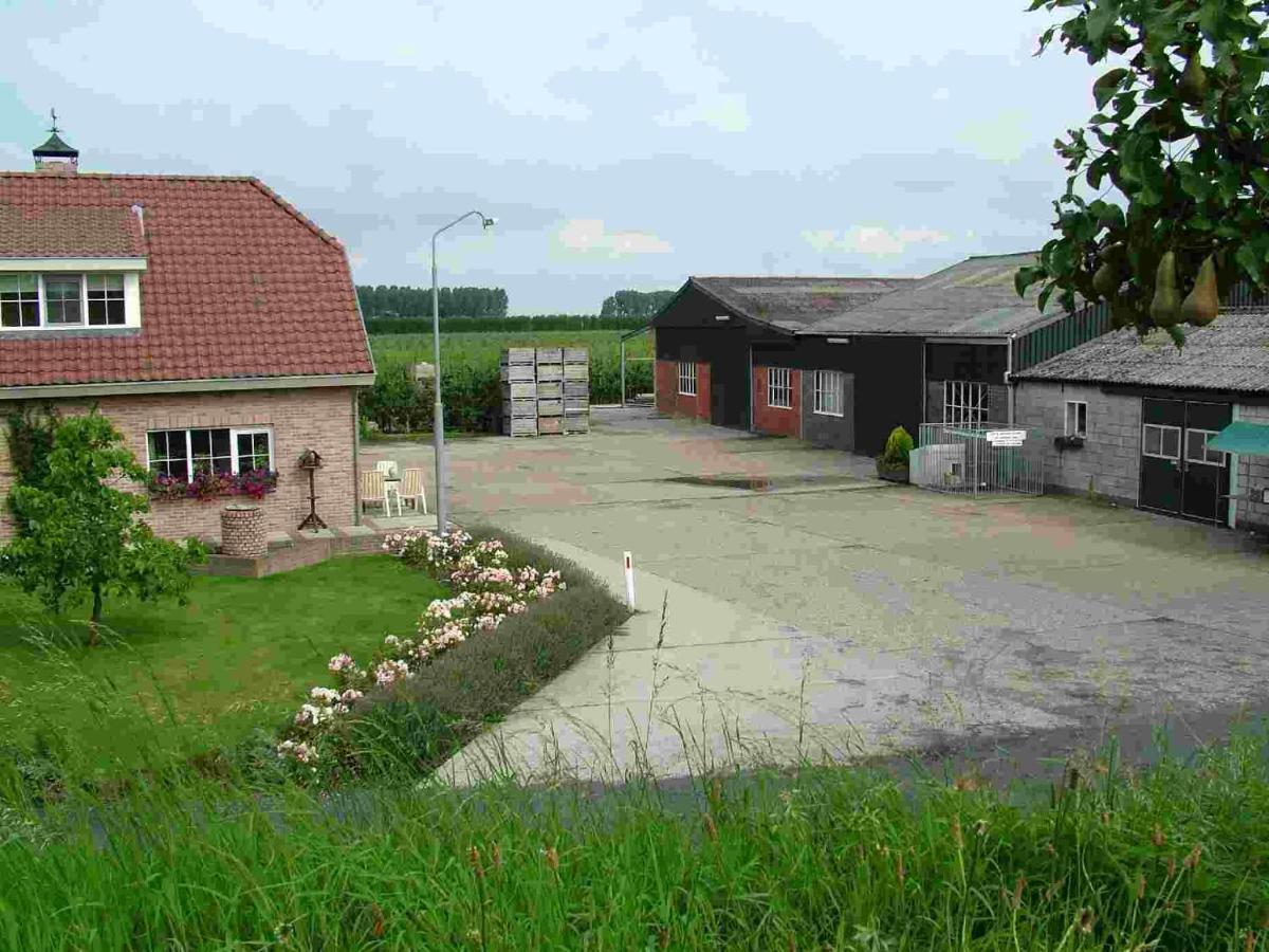 Vila Voormalig Strandhuisje In Boomgaard In Hengstdijk Exteriér fotografie