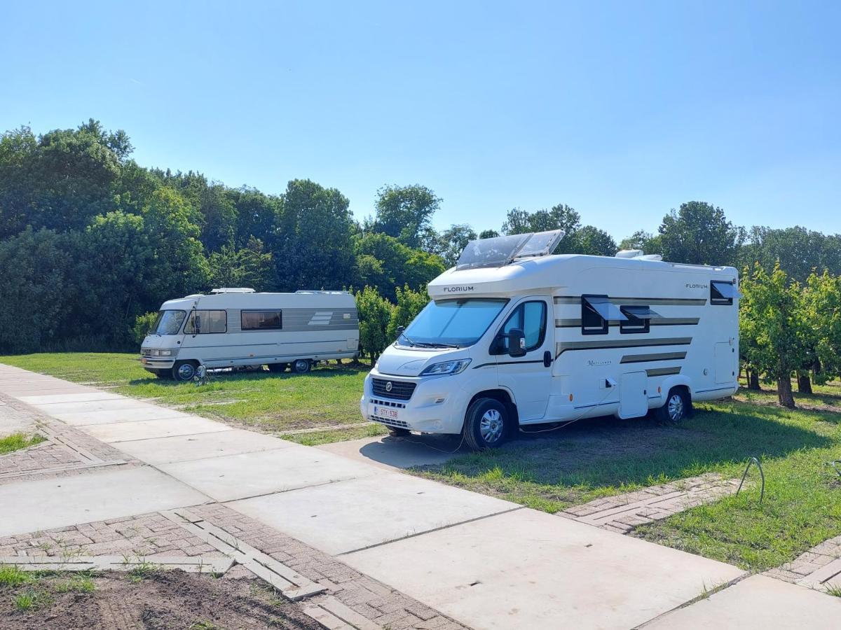 Vila Voormalig Strandhuisje In Boomgaard In Hengstdijk Exteriér fotografie